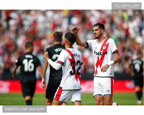 埃尔切用顽强态度书写升班马反击教科书 埃尔切用顽强态度书写升班马反击教科书